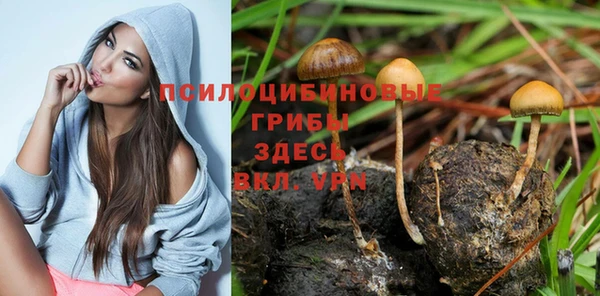 прущий лед Алексин
