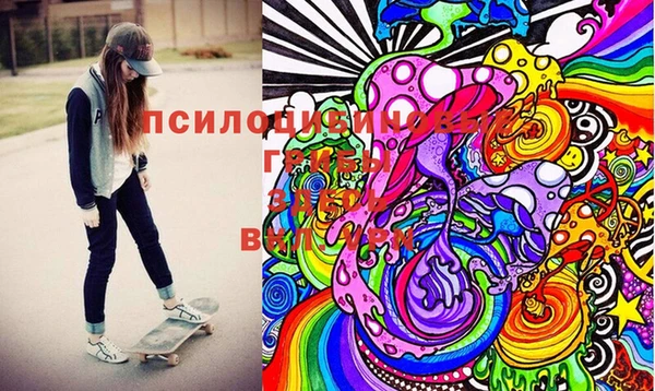 прущий лед Алексин