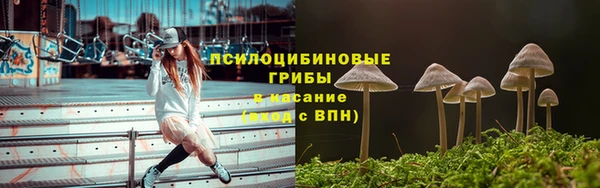 таблы Алзамай