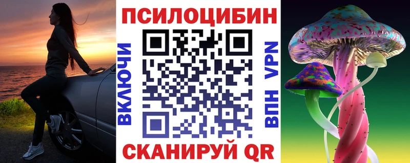 купить наркотик  Славск  Псилоцибиновые грибы Magic Shrooms 